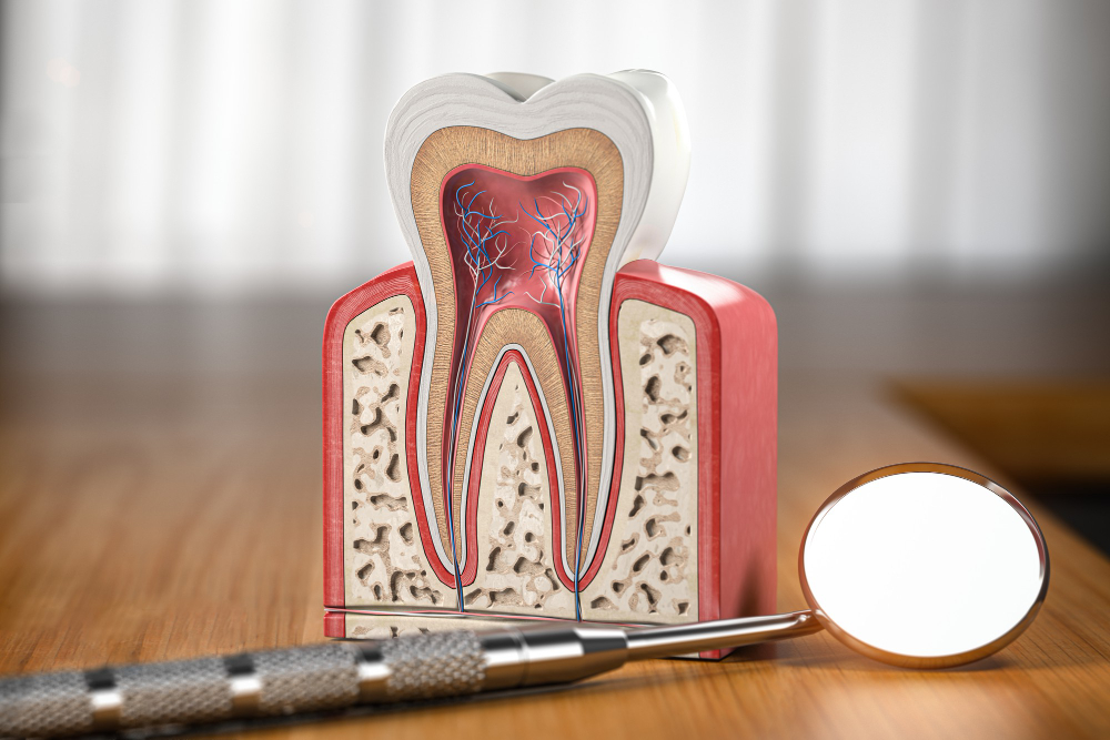 Root Canals  Green Valley, AZ